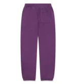 Sp5der Star OG Web v2 Sweatpants Purple - Image 3