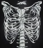 Hellstar Halloween Skeleton L/S Tee Black - Image 2